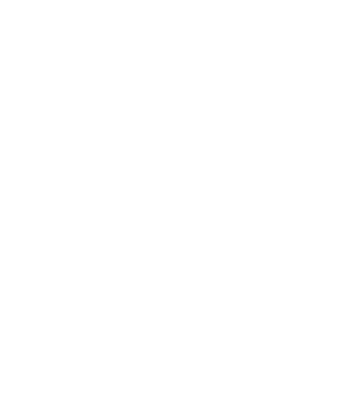 BLEUFEU.